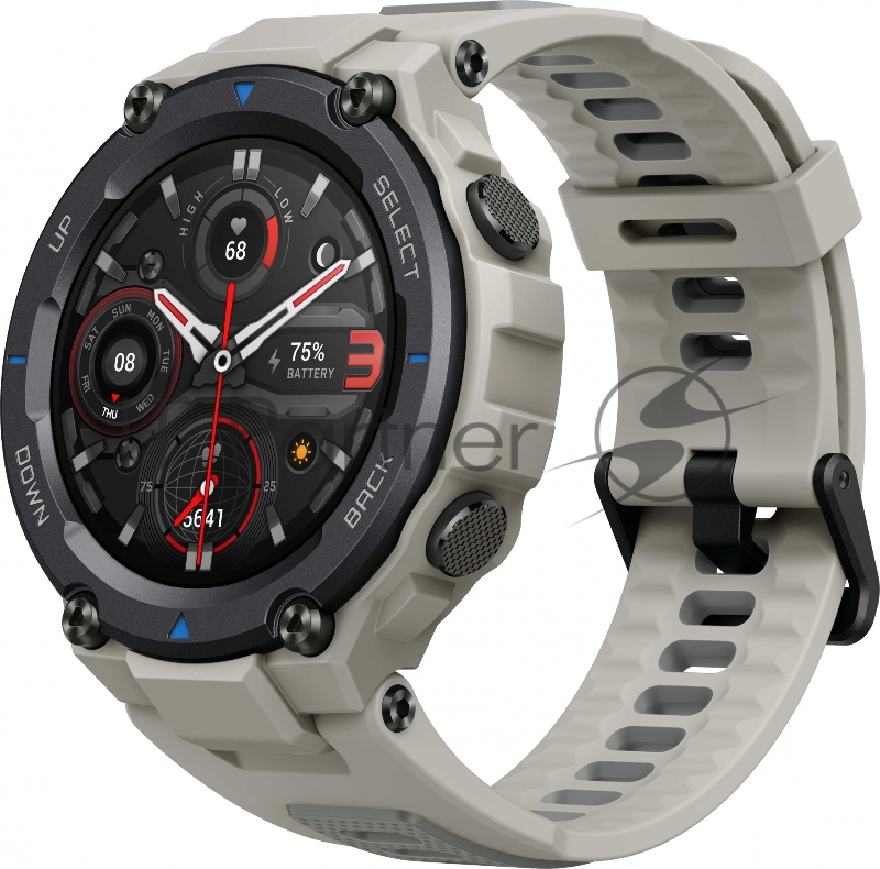 Смарт-часы AMAZFIT T-Rex Pro A2013 grey