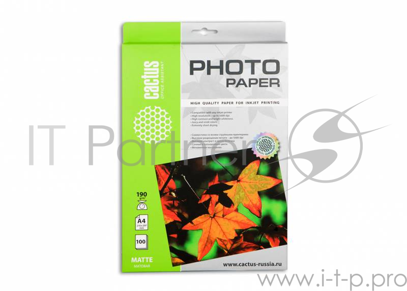 Бумага Cactus CS-MA4190100 Фотобумага Cactus CS-MA4190100 матовая, A4, 190 г/м2, 100 листов