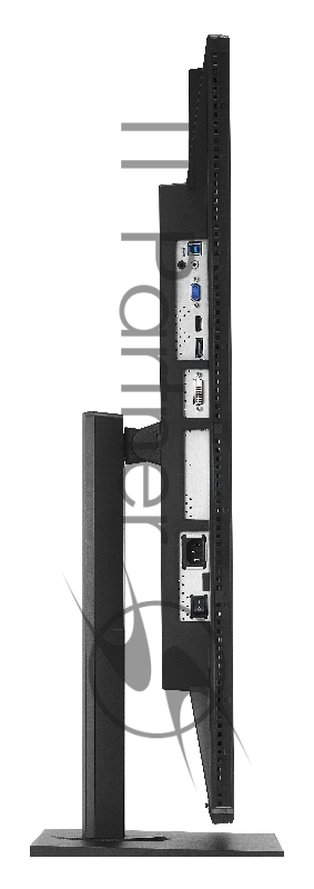 Монитор Asus 32