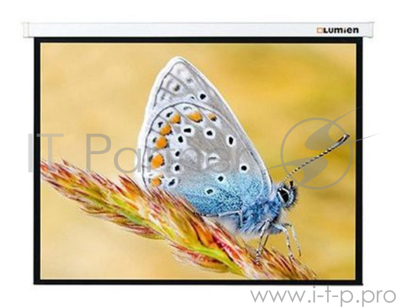 Экраны LUMIEN LUMIEN Master Control LMC-100110 4:3 (229х305), рабочая область (221х297), MW FiberGlass