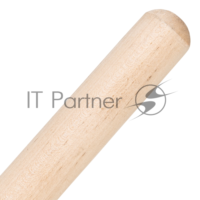 Грабли СИБРТЕХ веерные 20 зубьев,с черенком,оксидированные,плоский зуб//Р 61779