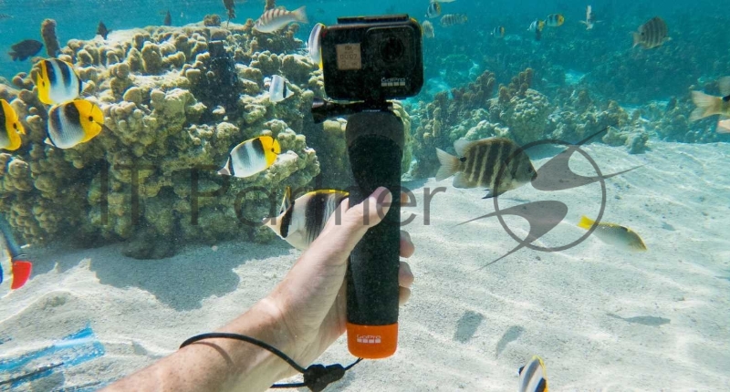 Монопод поплавок GoPro AFHGM-003 (The Handler)