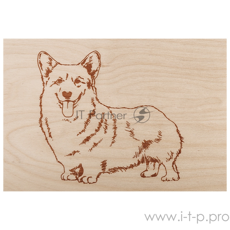 (воин/динозавр/собака/машина/б