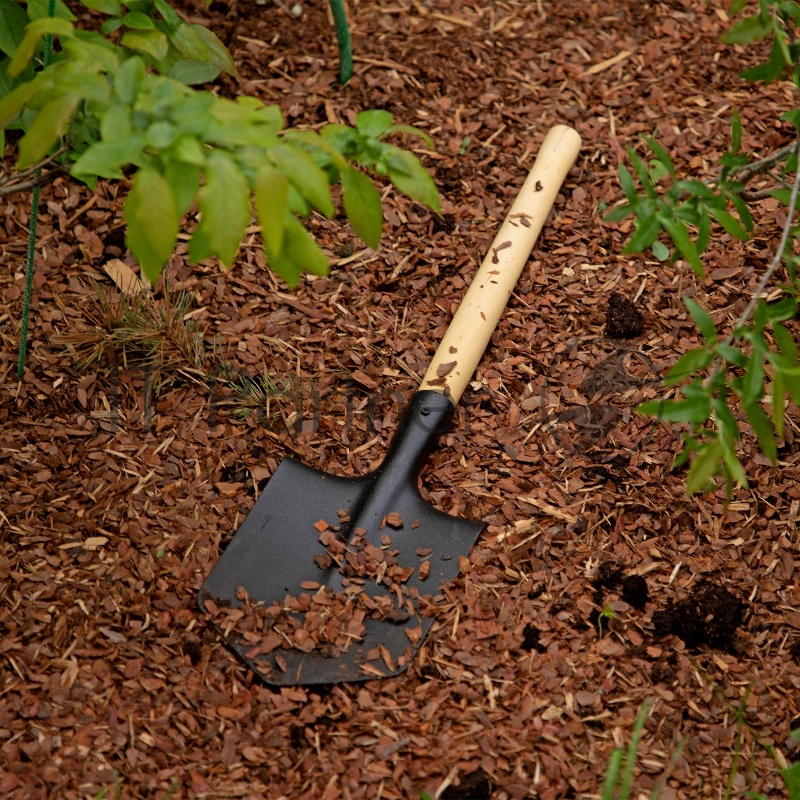 Россия Лопата саперная,деревянный черенок//61425