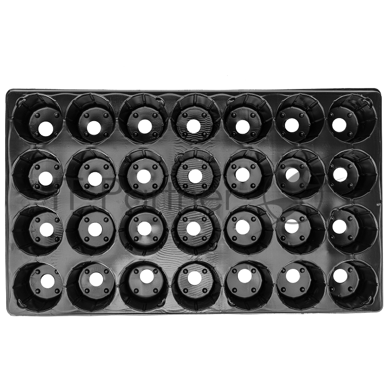 Кассета Россия для рассады,52x31см,высота 6см,28 ячеек,полистирол//64312