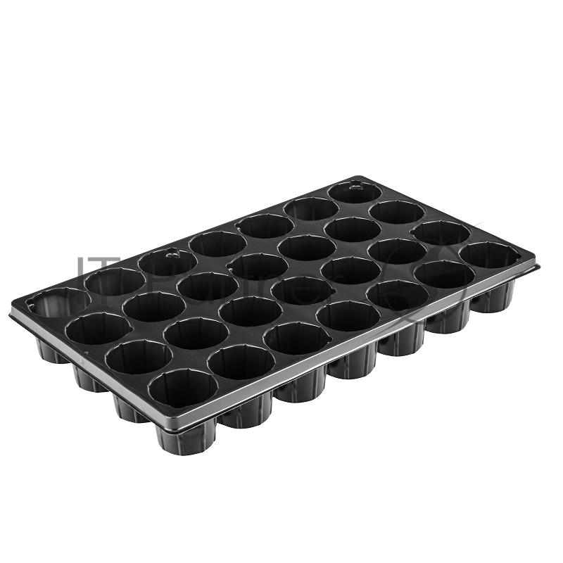 Кассета Россия для рассады,52x31см,высота 6см,28 ячеек,полистирол//64312