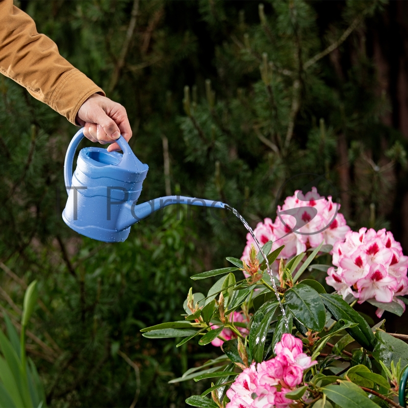 Лейка Россия малая, 1.3 л, пластмассовая // Россия 67500