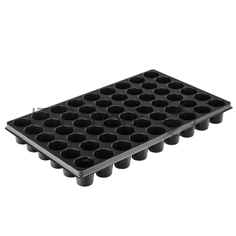 Кассета Россия для рассады,52x31см,высота 6см,54 ячейки,полистирол//64313