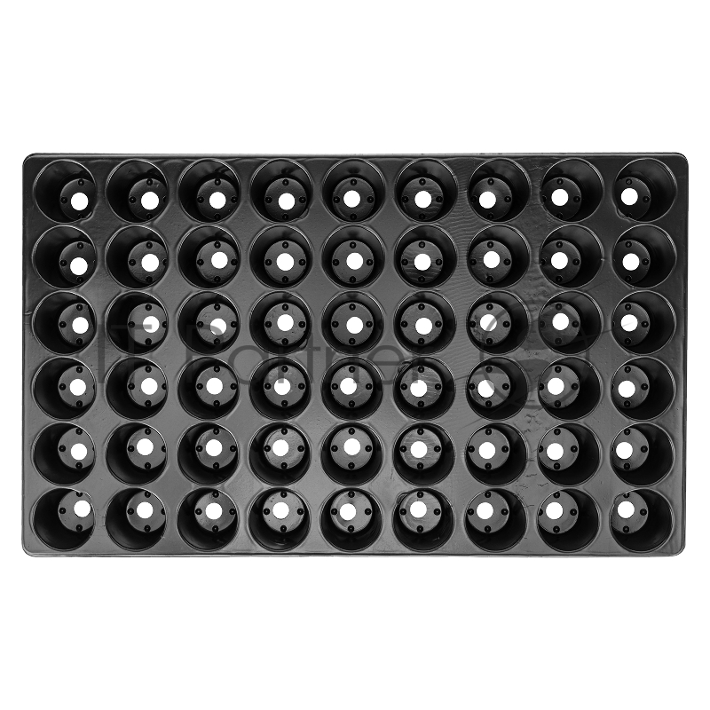 Кассета Россия для рассады,52x31см,высота 6см,54 ячейки,полистирол//64313