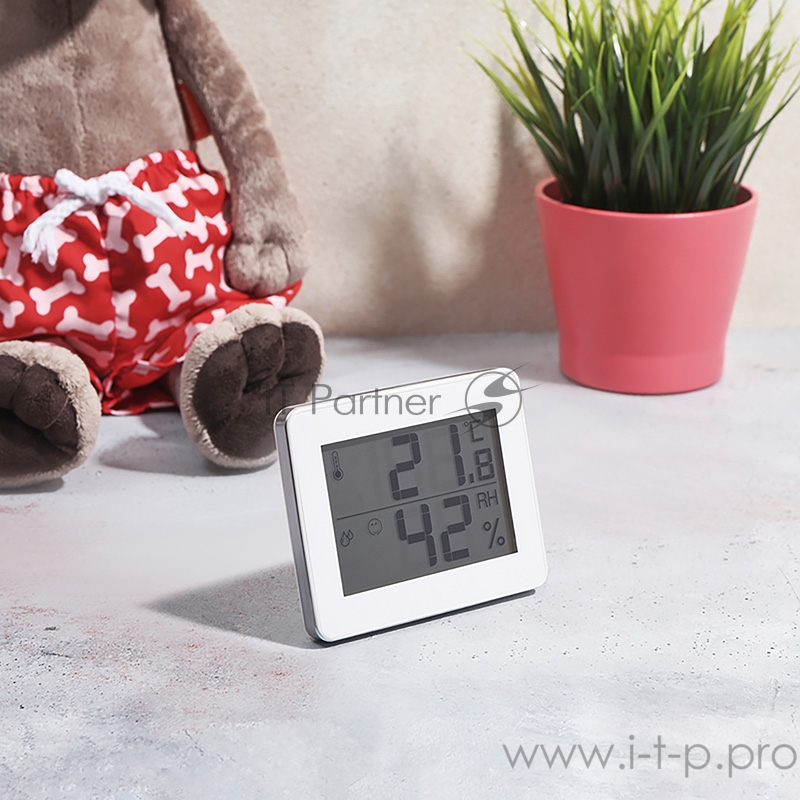 Цифровой комнатный термогигрометр HALSA