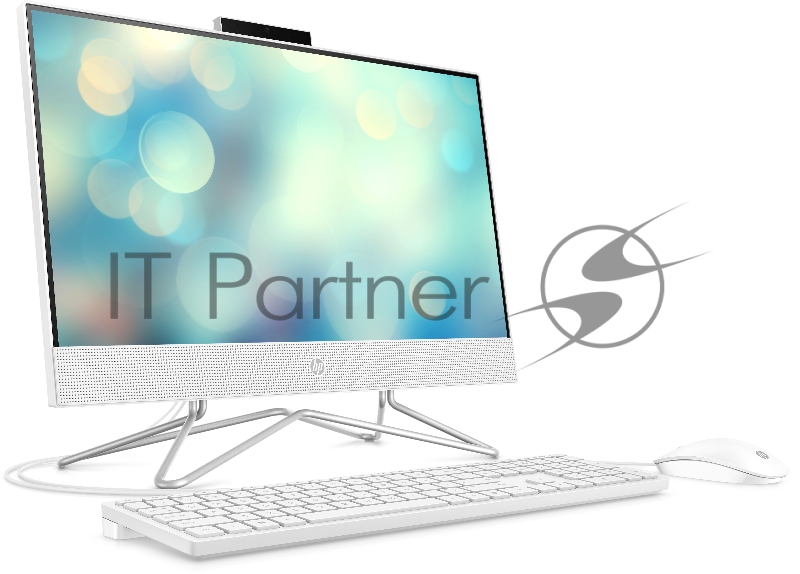 Моноблок HP 200 G4 AIO 21,5 NT with VA panel 21.5(1920x1080 (матовый))/Intel Core i3 10110U(2.1Ghz)/4096Mb/1000Gb/D 1y/DOS + Snow White