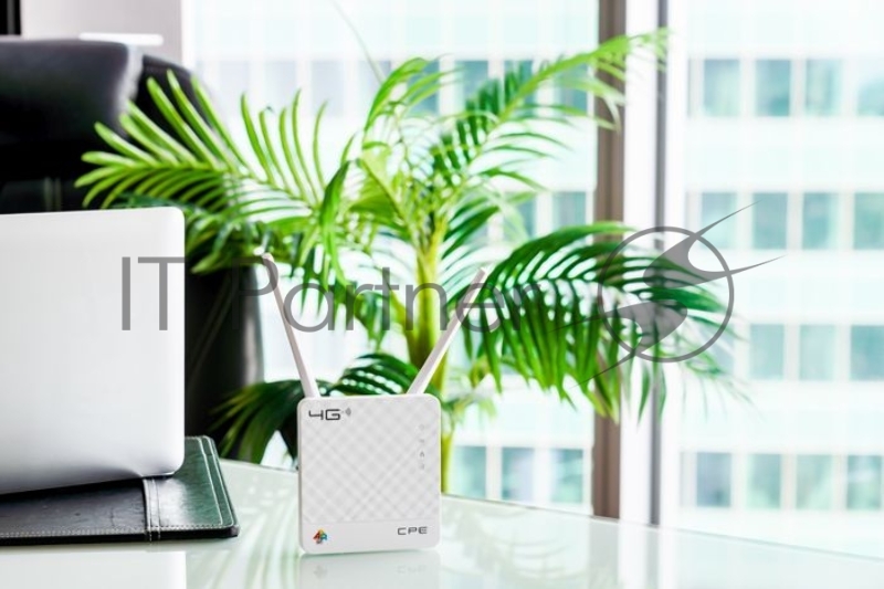 Интернет-центр Anydata R200 (W0047591) 10/100BASE-TX/4G(3G)