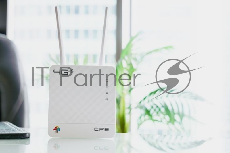 Интернет-центр Anydata R200 (W0047591) 10/100BASE-TX/4G(3G)