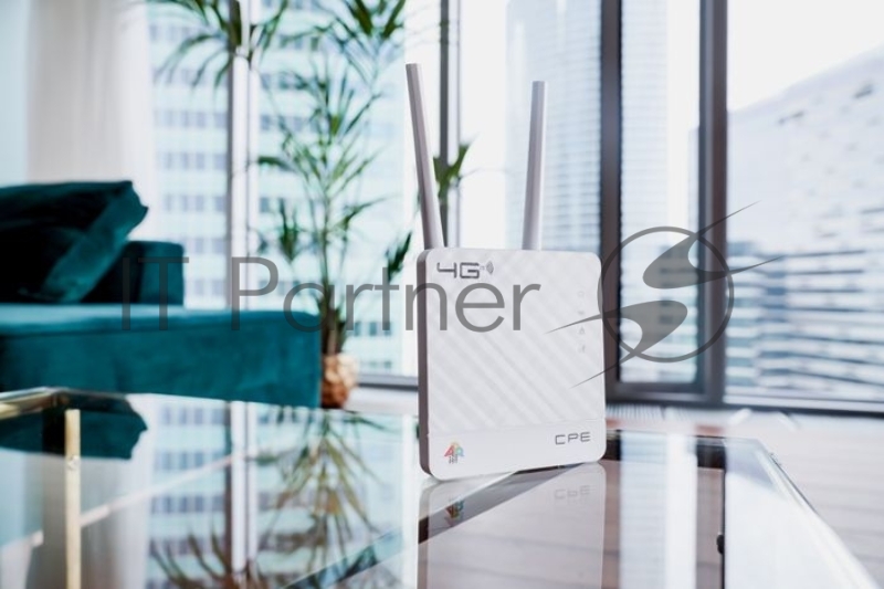 Интернет-центр Anydata R200 (W0047591) 10/100BASE-TX/4G(3G)