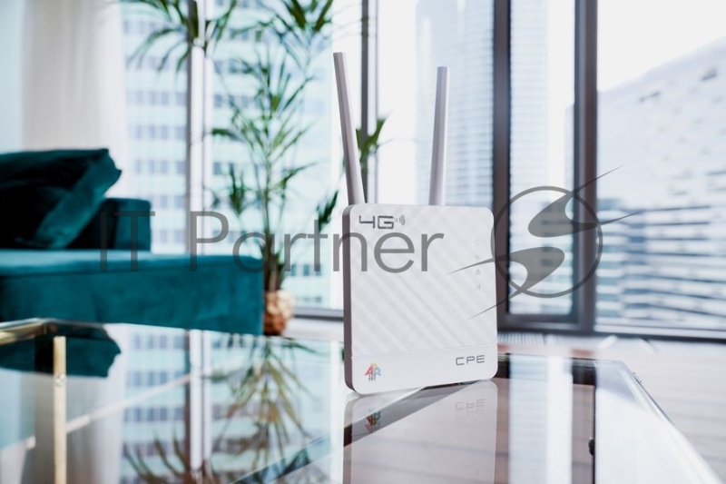 Интернет-центр Anydata R200 (W0047591) 10/100BASE-TX/4G(3G)