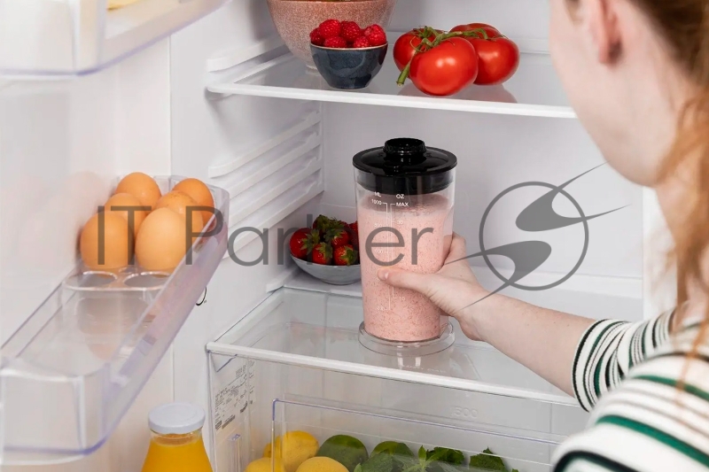 Блендер Princess 219600