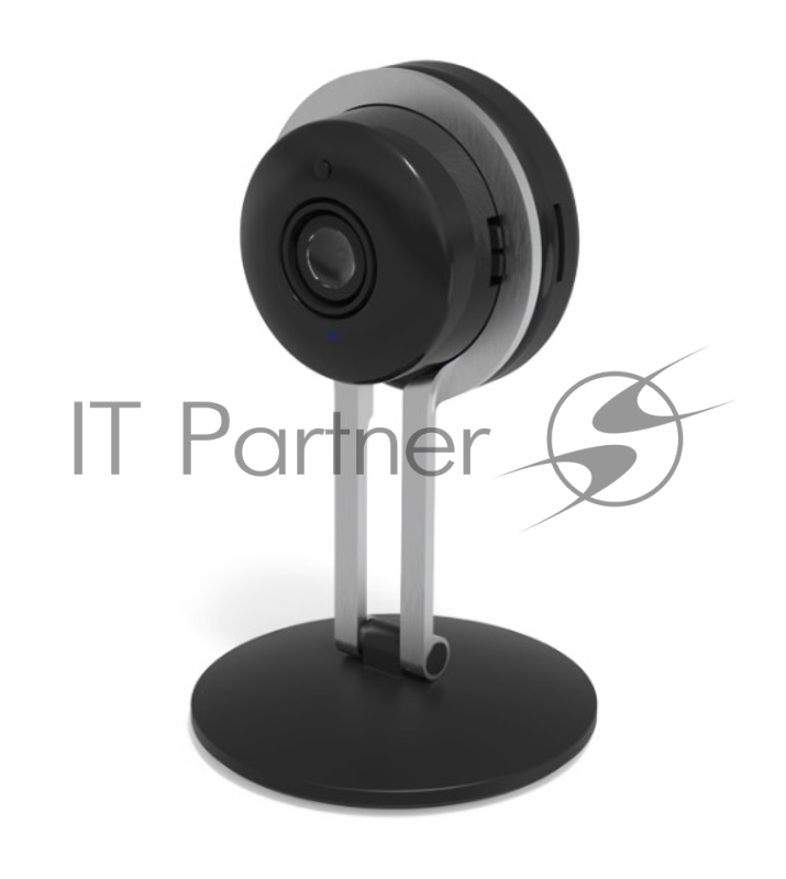 Камера наблюдения Wi-Fi RITMIX IPC-203-Tuya