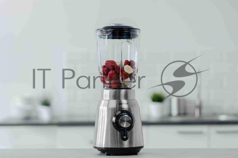 Блендер ZSB4850 INOX ZELMER