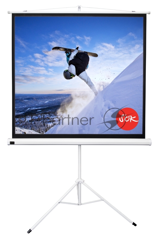 Экран 127x127см TriScreen 1:1 напольный рулонный белый 71