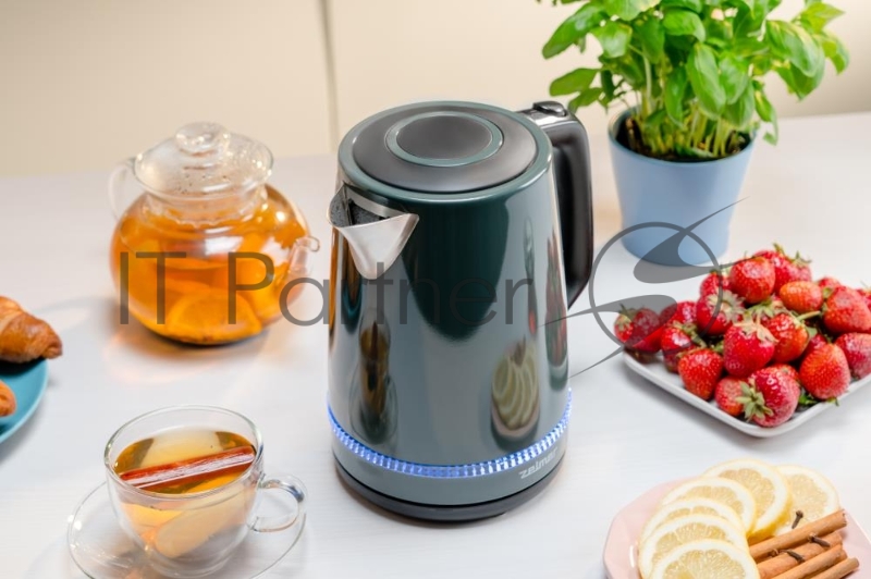 Чайник ZELMER ZCK7921G