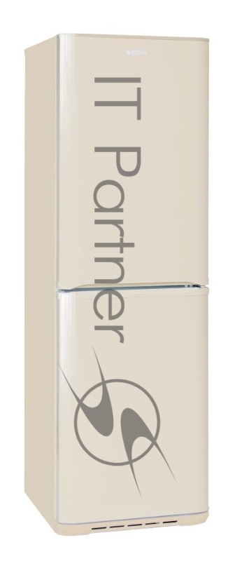 Холодильник Бирюса G631