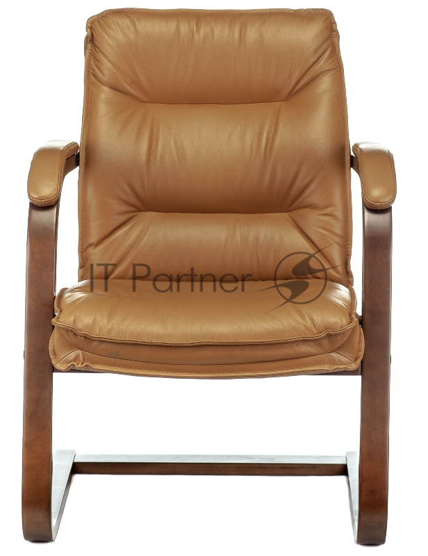 Кресло Бюрократ T-9927WALNUT-AV горчичный кожа полозья дерево