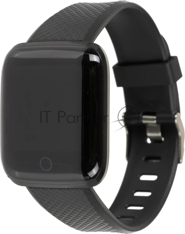 Смарт-часы Digma Smartline H2 1.3 TFT черный (H2B)