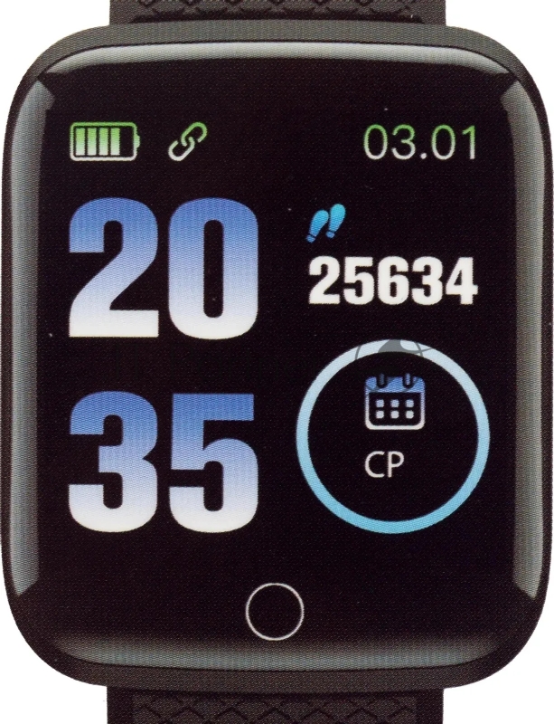 Смарт-часы Digma Smartline H2 1.3 TFT черный (H2B)