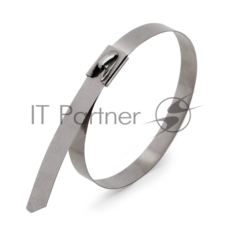 Стяжки стальные Fortisflex СКС /304/ 4,6 200 74910