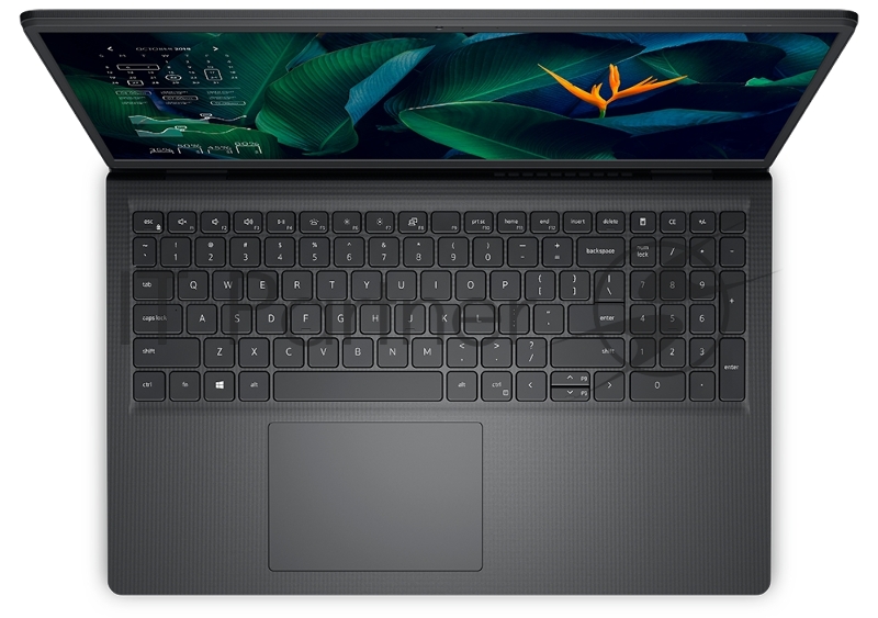 Ноутбук Dell Vostro 3515 Athlon Silver 3050U 4Gb SSD128Gb AMD Radeon 15.6 HD (1366x768) Linux black WiFi BT Cam