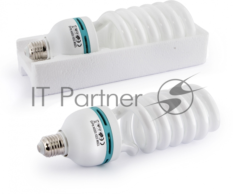 Комплект освещения Rekam CL-250-FL2-SB Kit постоянный