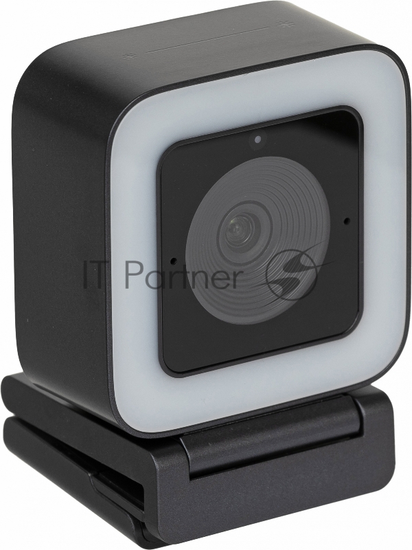 Камера Web Hikvision DS-UL2 черный 2Mpix (1920x1080) USB2.0 с микрофоном