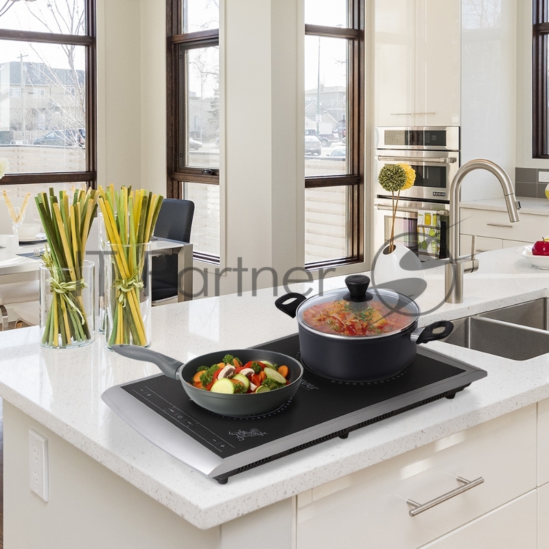 Плитка электрическая индукционного типа с двумя конфорками Endever Skyline IP-55, 1600+1300 Вт, 10 уровней регулировки температуры и мощности