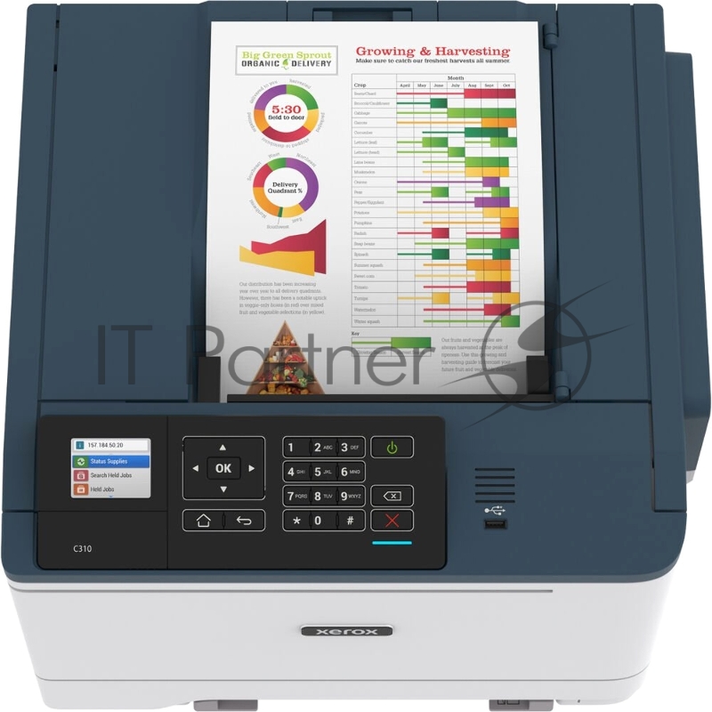 Принтер лазерный цветной XEROX C310V_DNI 33стр/мин A4, AUTOMATIC 2-SIDED PRINT, USB/ETHERNET/WI-FI