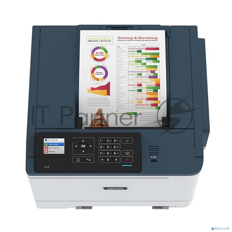 Принтер лазерный цветной XEROX C310V_DNI 33стр/мин A4, AUTOMATIC 2-SIDED PRINT, USB/ETHERNET/WI-FI
