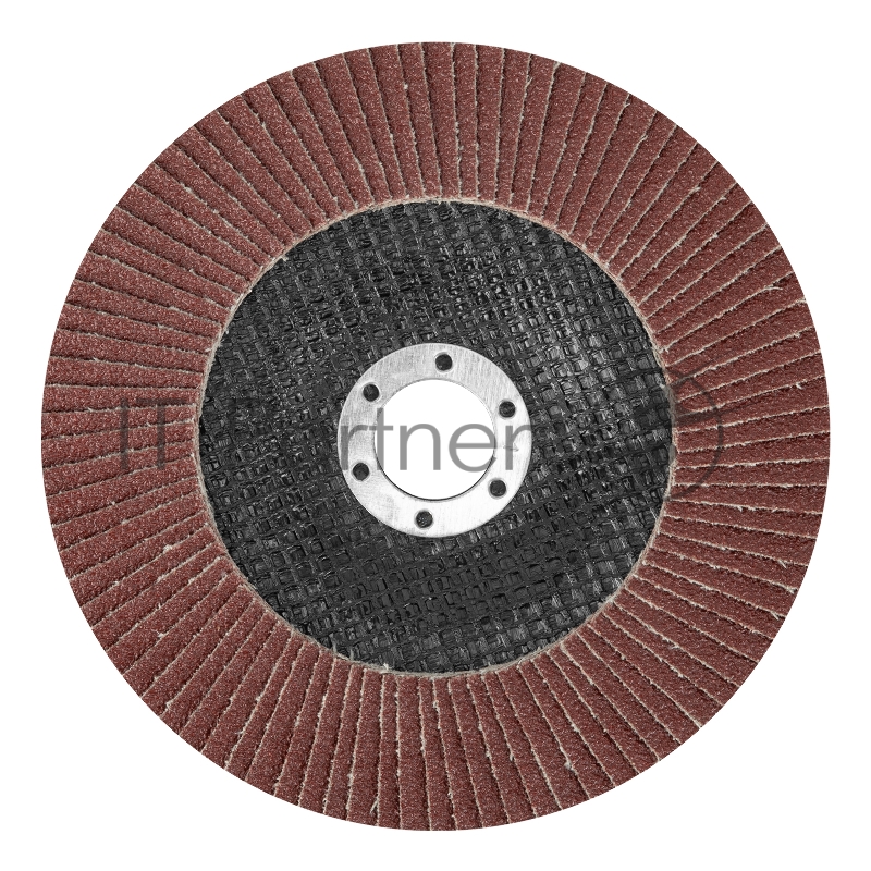 Круг лепестковый MATRIX торцевой, P 80, 150x22,2 мм// 74059