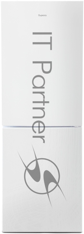 Холодильник БИРЮСА Б-6031