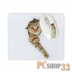 Мышь CBR Capture USB, Мышь сувенирная+ коврик, 1200 dpi, рисунок