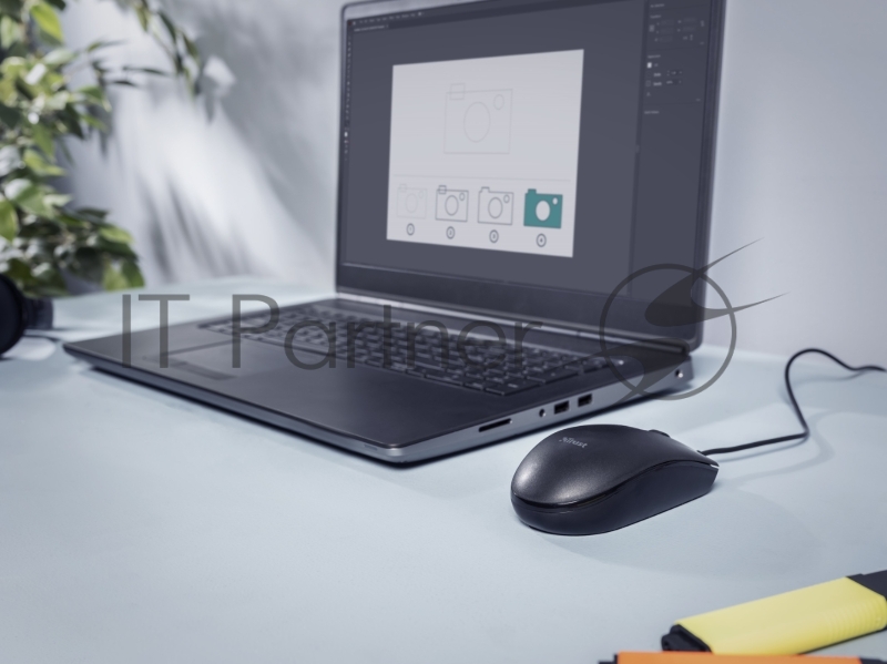 Проводная мышь Trust BASI WIRED MOUSE