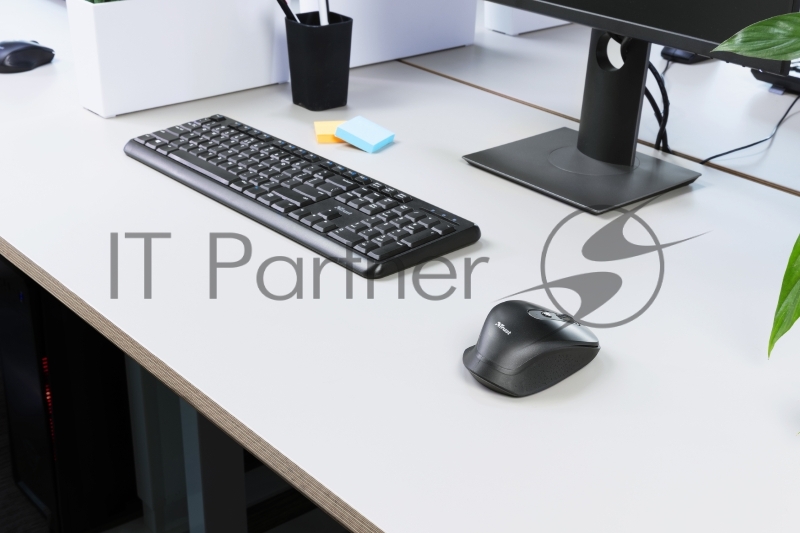 Мышь беспроводная Trust OZAA RECHARGEABLE MOUSE WHITE