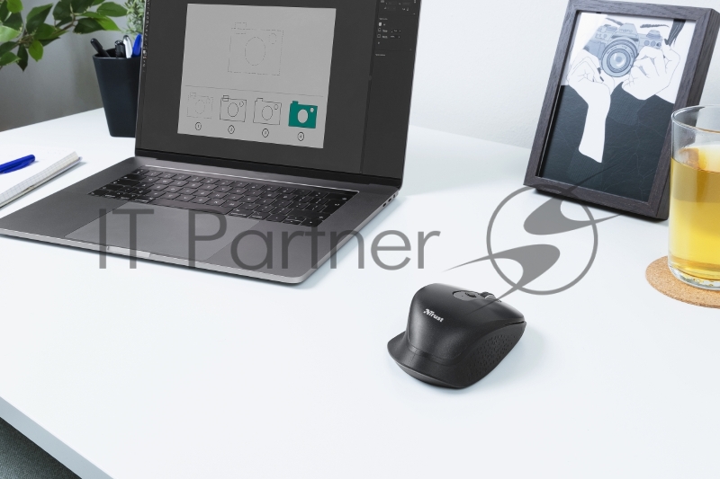 Мышь беспроводная Trust OZAA RECHARGEABLE MOUSE WHITE