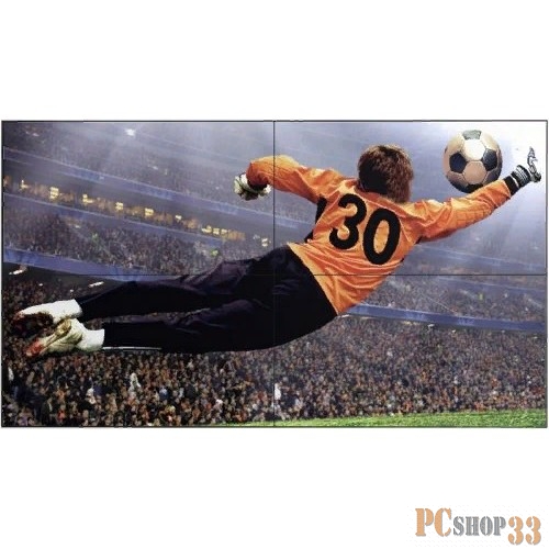 Панель LG 49 49VL5G-M черный S-IPS LED 8ms 16:9 DVI HDMI матовая 1000:1 500cd 178гр/178гр 1920x1080 DisplayPort FHD USB 16.9кг