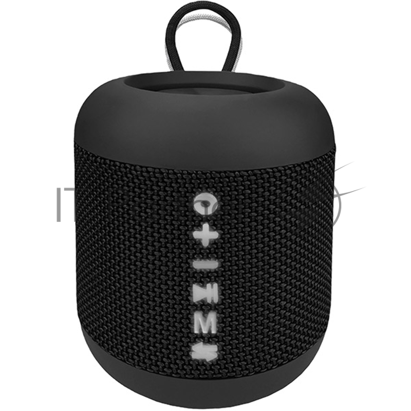 Портативные аудиосистемы SOUNDMAX SM-PS5011B(черный)