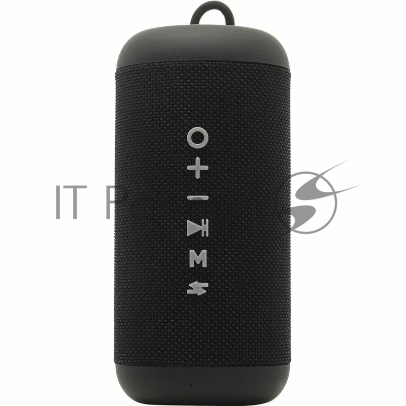 Портативные аудиосистемы SOUNDMAX SM-PS5012B(черный)