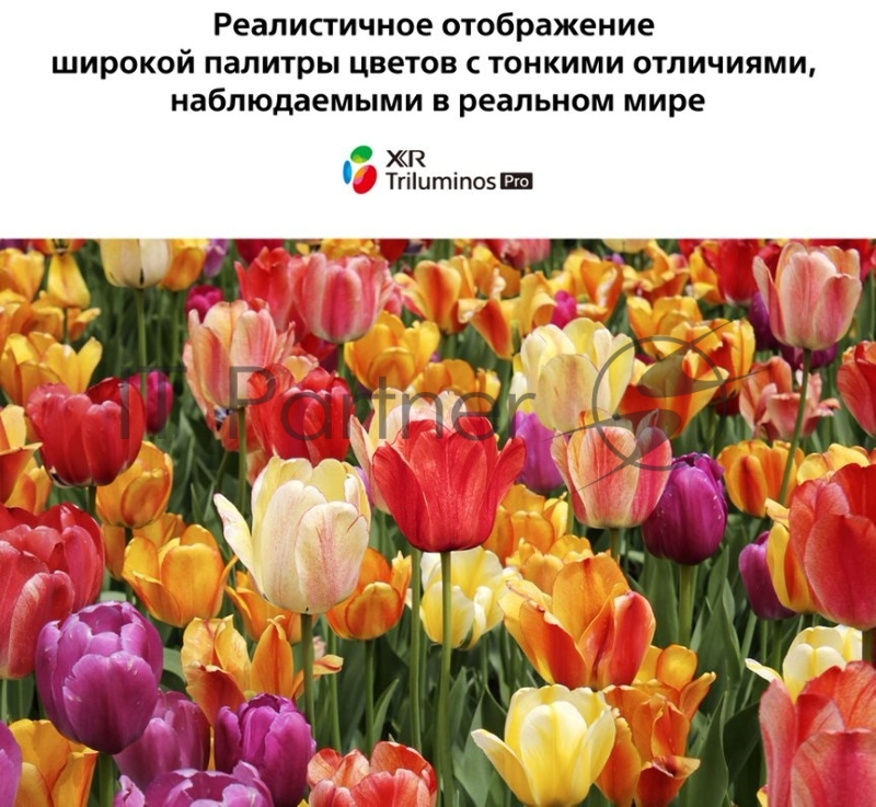 Жидкокристаллический телевизор LED65 Sony XR-75X90J