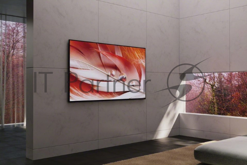 Жидкокристаллический телевизор LED65 Sony XR-75X90J