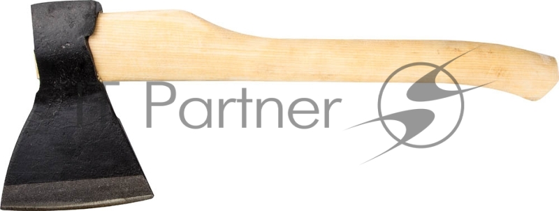 Топор кованый Ижсталь-ТНП А0 870 г, деревянная рукоятка