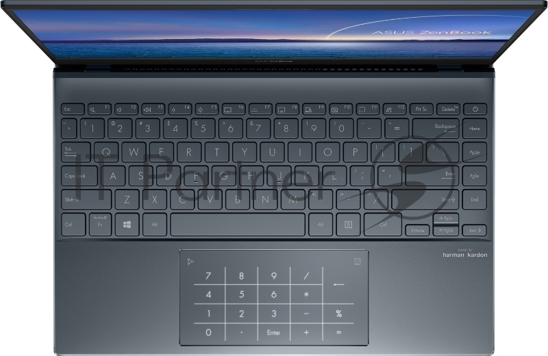 Ноутбук ASUS UX325EA Intel Core i5-1135G7/8Gb/512Gb SSD/13.3 FHD OLED Glossy display/Wi-Fi/Win11 Pine Grey + Sleeve + USB-A to RJ45 gigabit ethernet adapter + USB-C to audio jack adapter