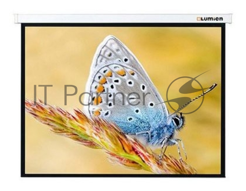 Экран с электроприводом Lumien Master Control 229x305 см (146) Matte White FiberGlass черн. кайма по периметру