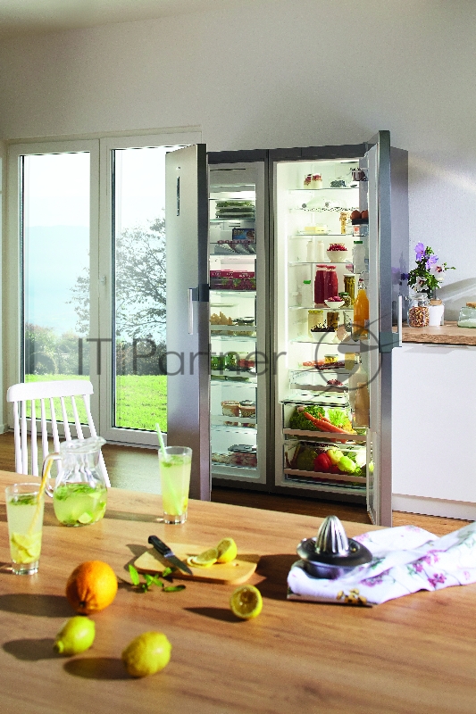 Холодильник Gorenje R6192LX нержавеющая сталь (однокамерный)